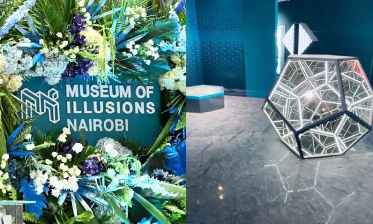 Museum of Illusions